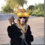Banana—- eats