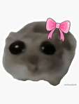 Besto Friendo's geoup
