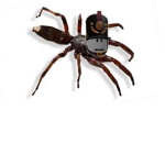 Empire of the DrDalek Spiders