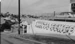 E/S WHITE FENCE 13