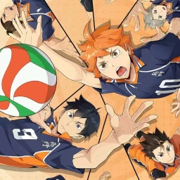 REWIENDED VOLLEYBALL icon