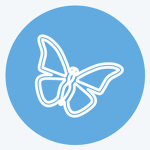 ʚ butterfly,s clothing ɞ