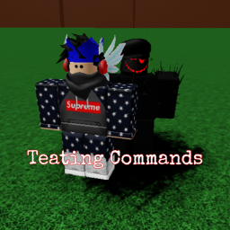 Testing Commands