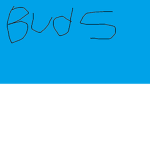 Steve and buds