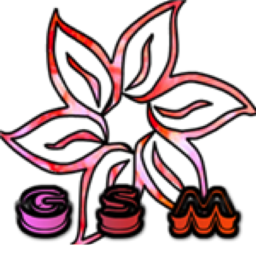 [GSM] Fashion Runway