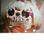 star’s closet!!