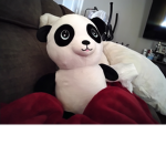Panda ##### studio