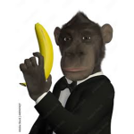 !!!Monkey crew!!!
