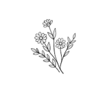 la petite fleur