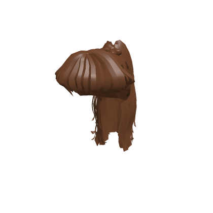 Ariana hairstyle