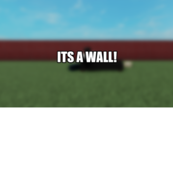 The Infinite Wall!