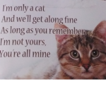 Do u love Catz ?!