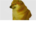 Awesome Doge Group Maddness