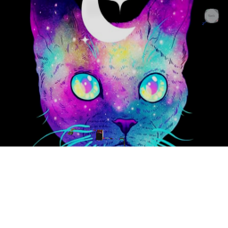 obby cat