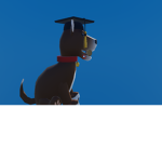 dogy studio
