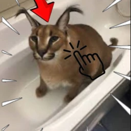 floppa clicker simulator icon