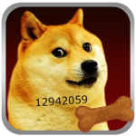 DogeJuniorkiTT