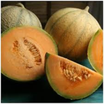 Melon's seeds