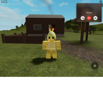 The chicky’s