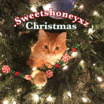 .Sweetshoneyxz