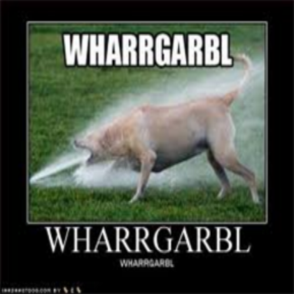 funny pic 3 Roblox decal