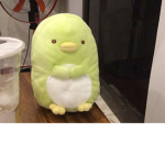 The green duck team