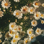 ꋊꄲ ꋊꋬꂵꏂ#~
