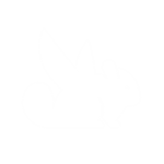 The Flying Chinchillas