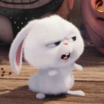 로벅스 옮기려고 만든 그룹