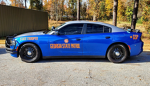 Georgia State RP WL