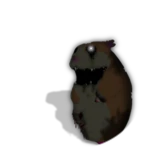 Forgotten Chomik