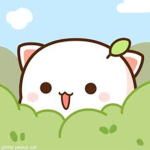 i love mochi the cat