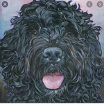 Lucky the doggo :)