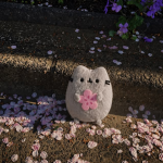 Afterbloom