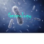 Germology
