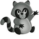 Team Raccoon!!