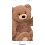 Teddy Group TEDDY