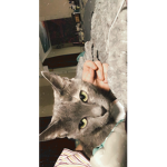 brystal_l29