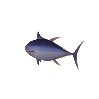 Flying Fish Npc