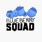 Blueberry_ squadd