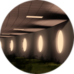 Level 150: The Infinite Garden