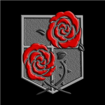 AOT R Vanguard