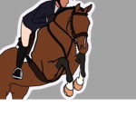 Equestrian_200