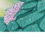 AestheticsCute