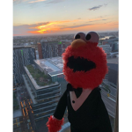 Bobo pilo