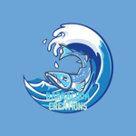 Barracuda Creations
