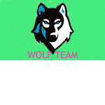 TEAM WOLF INDONESIAN