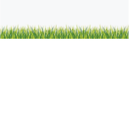 Touch Grass ;)
