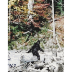 Bigfoot/