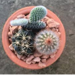 friend donations ♡